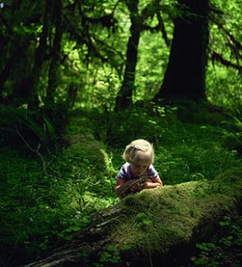 KidsNature_1 playlsi web