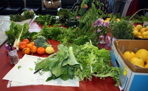 semaphore fruit and veg swap