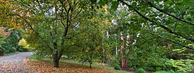 Garden mount-macedon