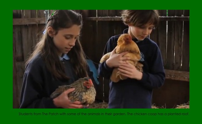 Students from the Patch with chickens