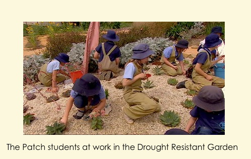 The patch students at work